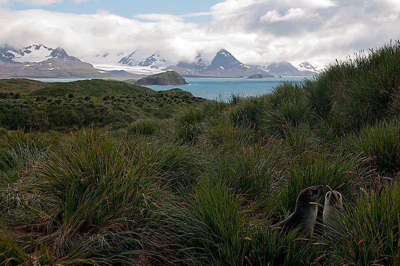 #2 Kerguelen Islands