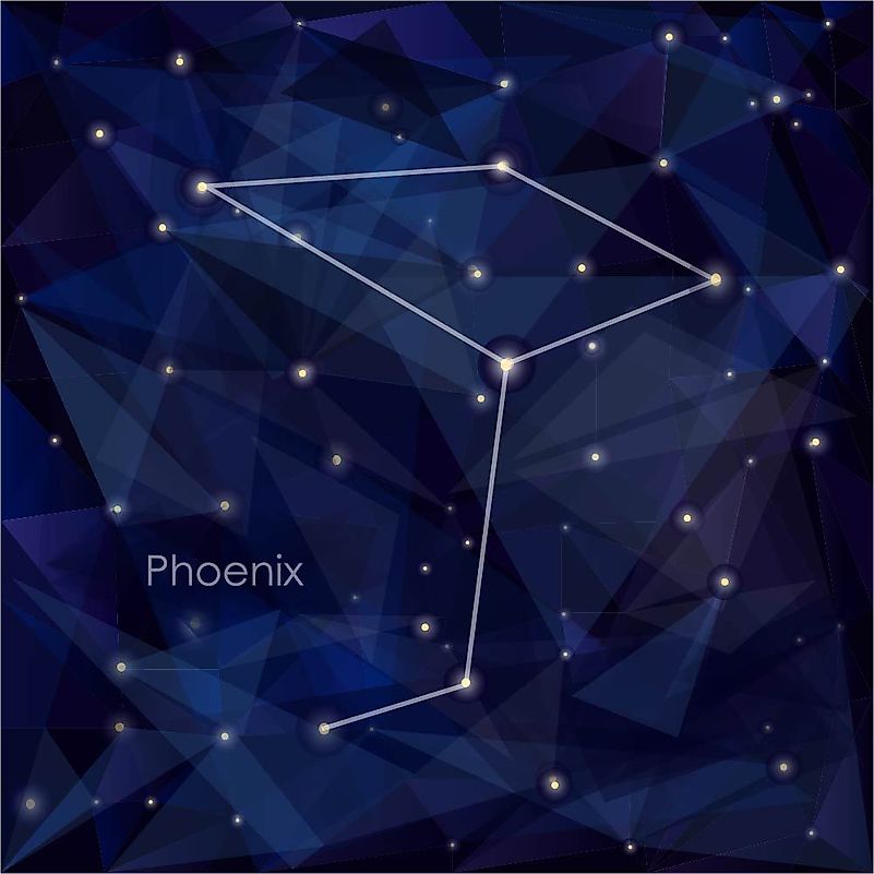 #5 Phoenix