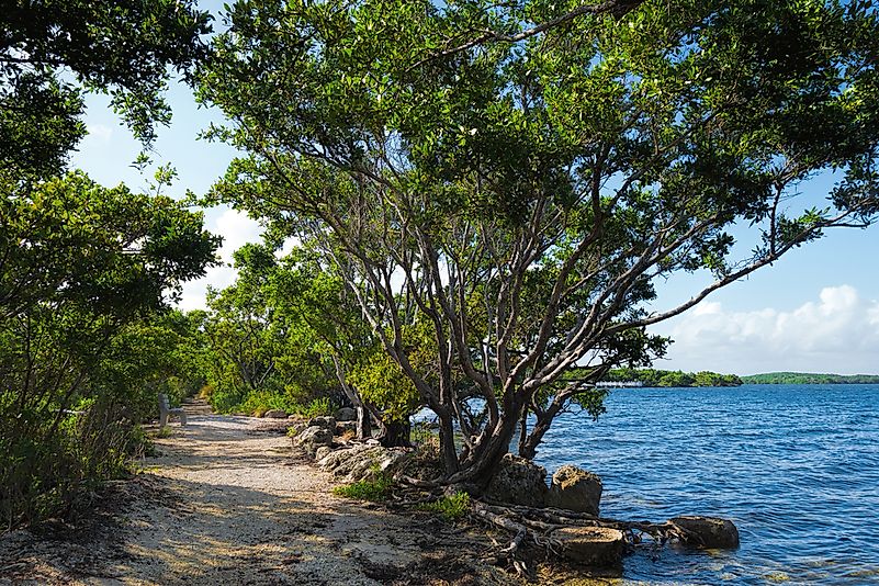 #5 Florida National Scenic Trail