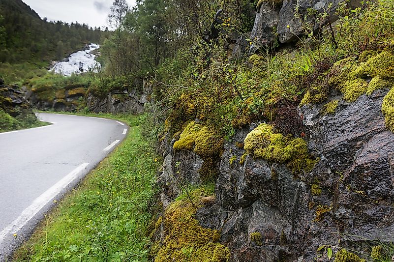 #16 Aurlandsfjellet (Aurlandsvangen–Lærdalsøyri)