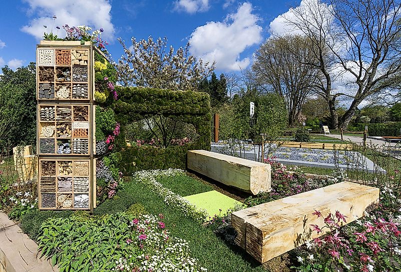 Creating your garden can be the most rewarding DIY thing to do. Image credit: Tuxyso/Wikimedia.org Creating your garden can be the most rewarding DIY thing to do. Image credit: Tuxyso/Wikimedia.org