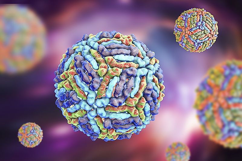 A virus transmitted by mosquito and causing West Nile fever. A virus transmitted by mosquito and causing West Nile fever.