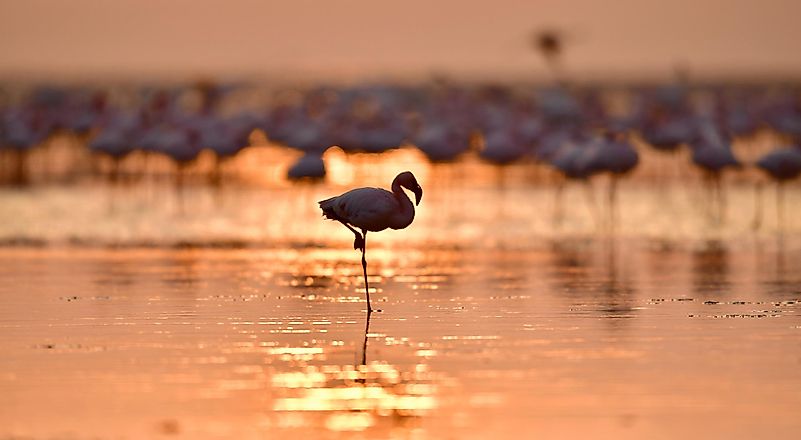 #1 Lake Natron, Tanzania