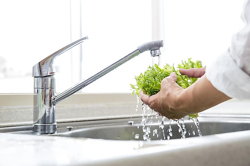 Of course, all fruits and vegetables should be washed in plenty of water before eating, but some food items do not require washing.