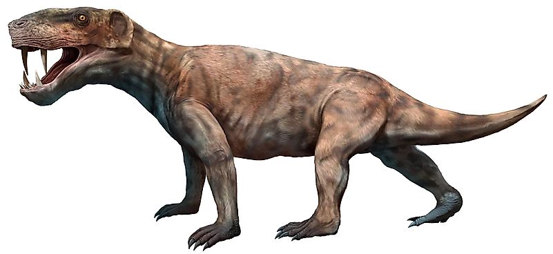 Therapsids are most easily described as “mammal-like reptiles” that were extinct during the Jurassic period. Therapsids are most easily described as “mammal-like reptiles” that were extinct during the Jurassic period.