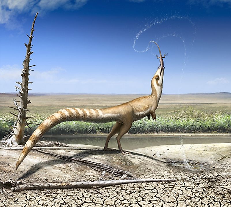 The feathered Sinosauropteryx. Image credit: Robert Nicholls/Wikimedia.org The feathered Sinosauropteryx. Image credit: Robert Nicholls/Wikimedia.org