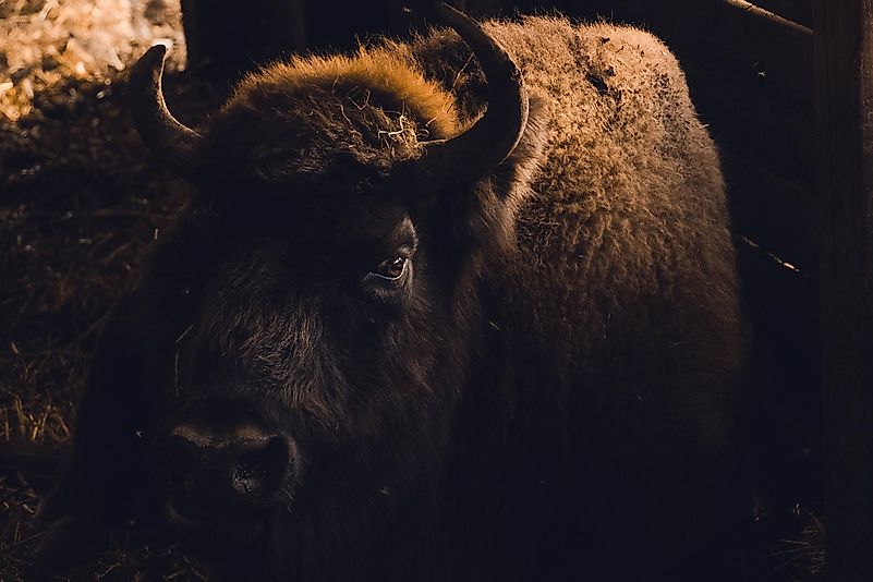 Photo by Quinten de Graaf on Unsplash