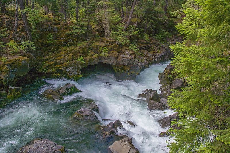 #4 Rogue Gorge and Natural Bridge, Oregon