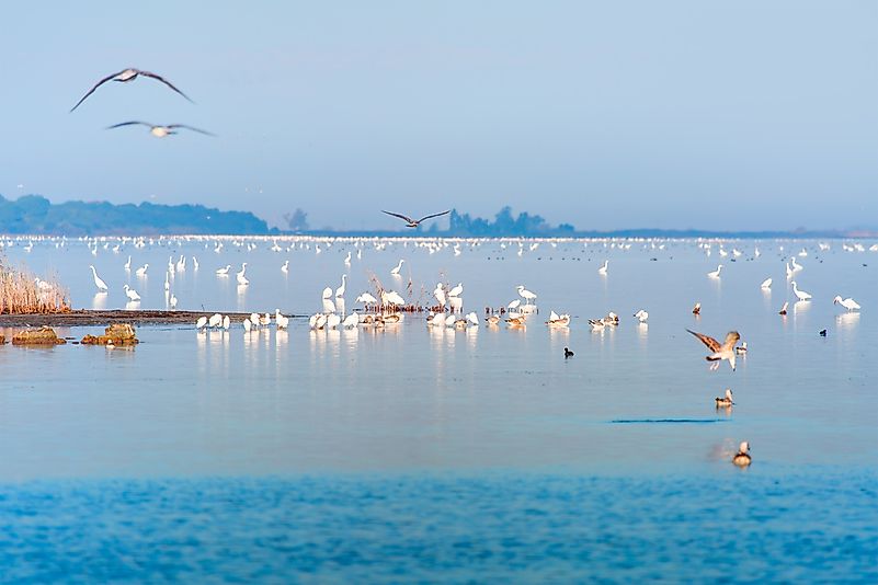 The lowest point in Turkey is near the Akyatan Lagoon.