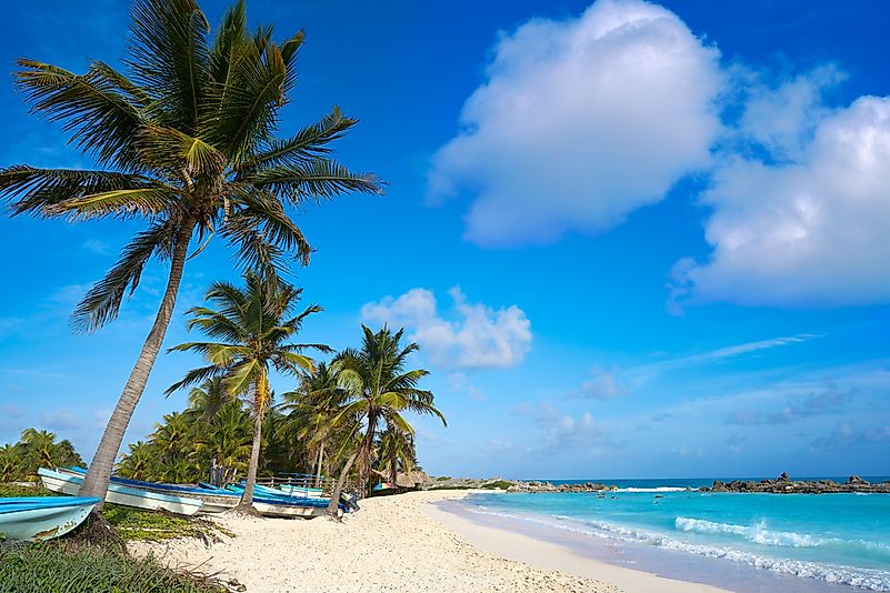 #3 Cozumel