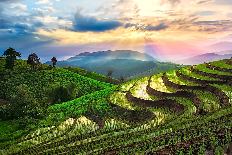 A terraced rice terrace in Chiangmai. A terraced rice terrace in Chiangmai.
