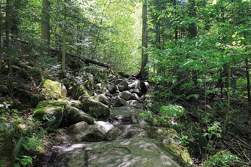 Adirondack Mountains; Trail to Cascade Mountain. Image credit: Yinan Chen/Public Domain Adirondack Mountains; Trail to Cascade Mountain. Image credit: Yinan Chen/Public Domain