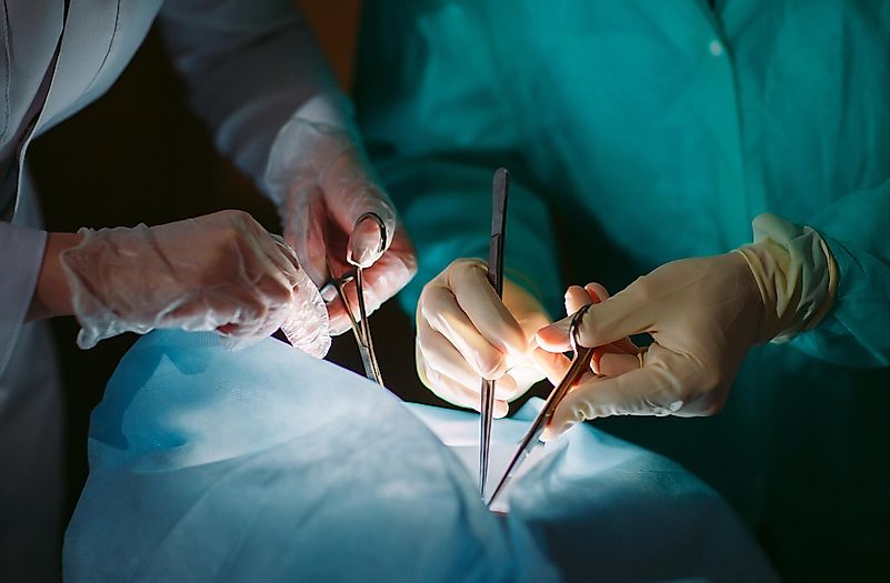 The process of face transplantation uses tissues of a dead person to replace another person’s face. The process of face transplantation uses tissues of a dead person to replace another person’s face.