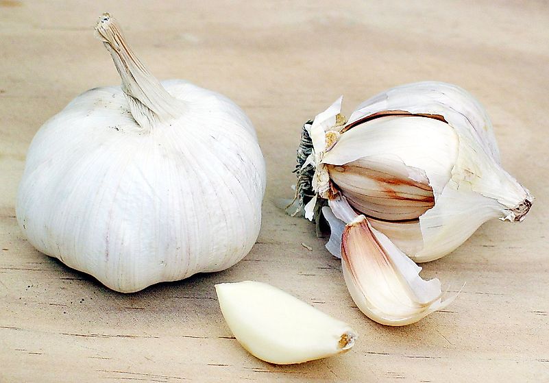Although garlic has several medical benefits, its effect on COVID-19 management has no scientific proof. Image credit: Donovan Govan/Wikimedia.org Although garlic has several medical benefits, its effect on COVID-19 management has no scientific proof. Image credit: Donovan Govan/Wikimedia.org