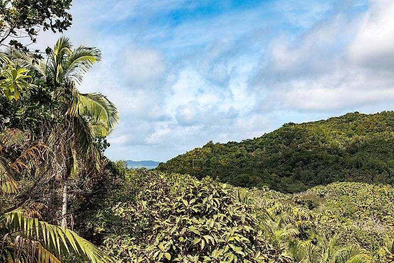 #4 Praslin National Park