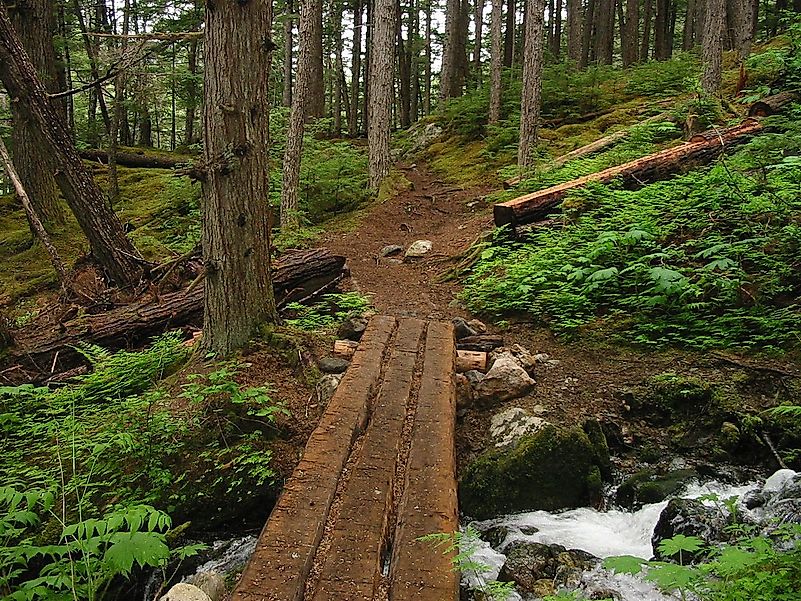 The Chilkoot Trail National Historic Site. Image credit: Jonathan/Wikimedia.org The Chilkoot Trail National Historic Site. Image credit: Jonathan/Wikimedia.org