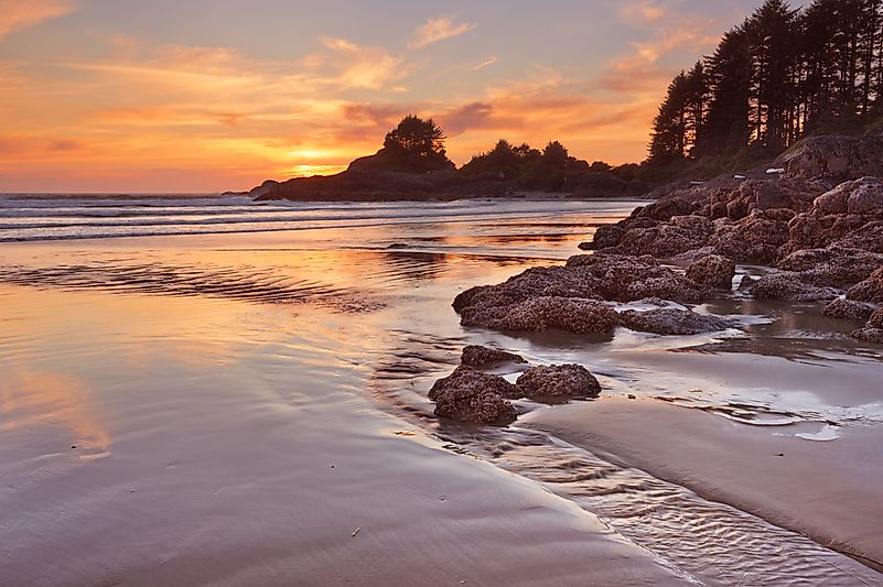 The beautiful beaches of Pacific Rim National Park Reserve. The beautiful beaches of Pacific Rim National Park Reserve.
