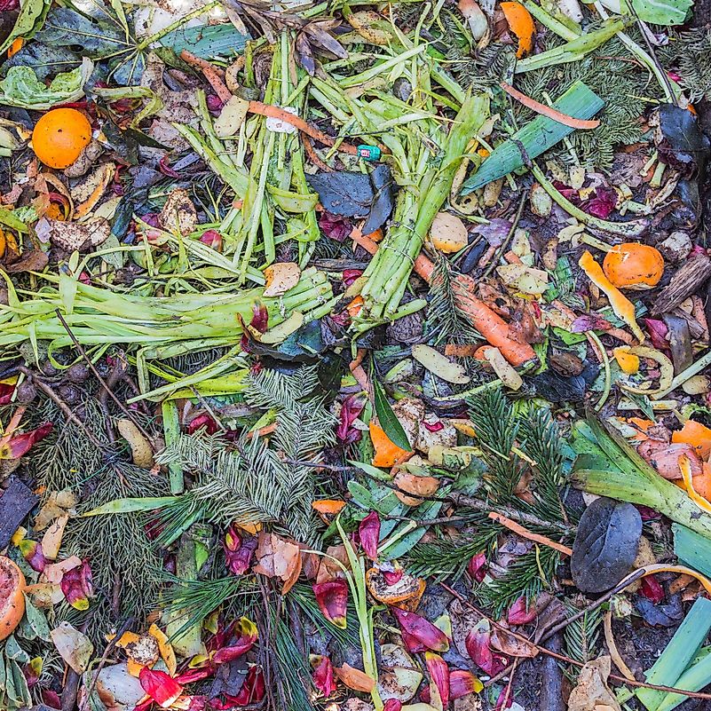 Food waste must be nil for a zero waste lifestyle. Image credit: Pxfuel.com