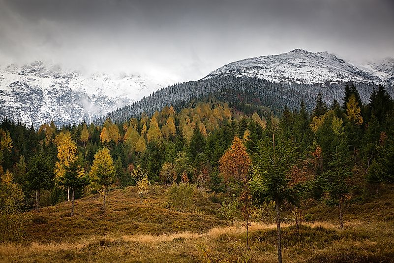#2 Rodna Mountains