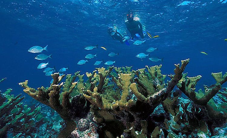 #4 Biscayne National Park