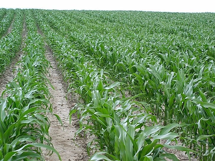 #9 U.S. Arable Land Resources