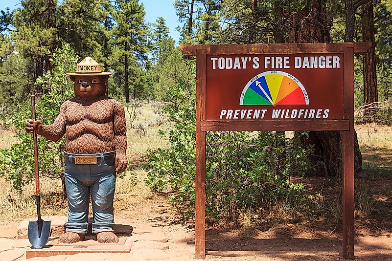 #5 Smokey the Bear