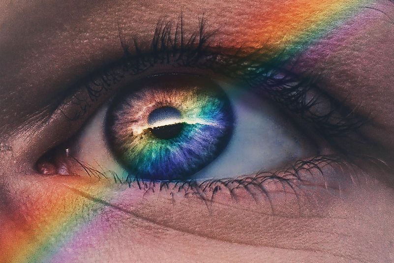 Bisexual people are attracted to the same gender and other genders. Photo by Harry Quan on Unsplash