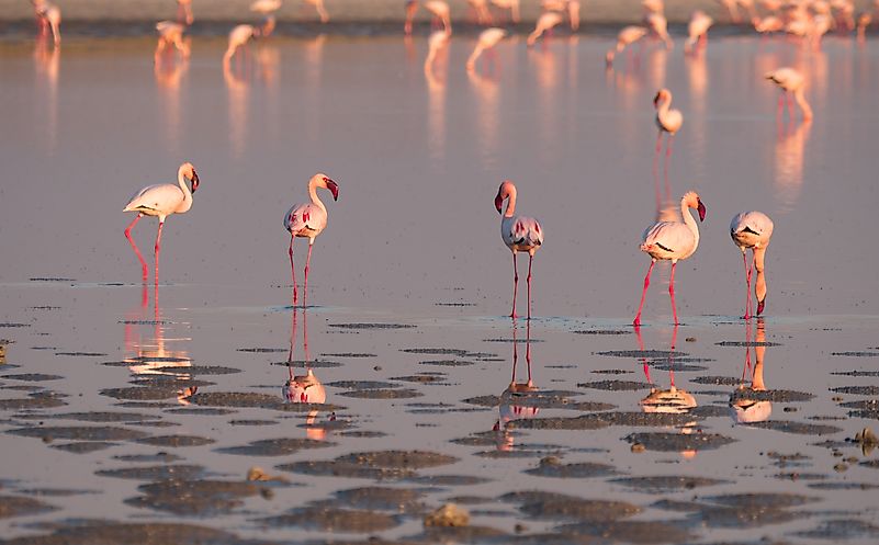 #3 Makgadikgadi Pan National Park