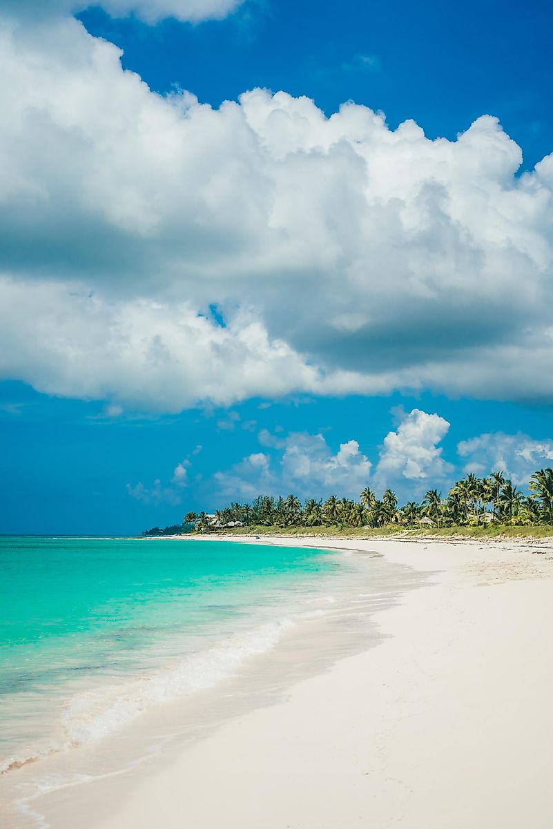 Photo by Cristofer Jeschke on Unsplash