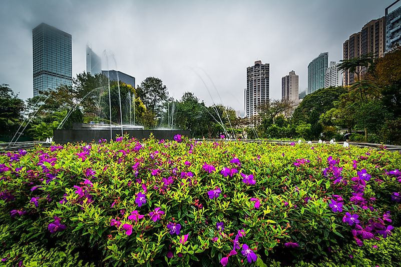 The Zoological and Botanical Gardens in Hong Kong. The Zoological and Botanical Gardens in Hong Kong.