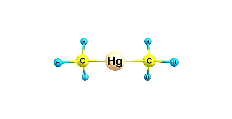 Dimethyl mercury can easily be absorbed into our bloodstream. Dimethyl mercury can easily be absorbed into our bloodstream.