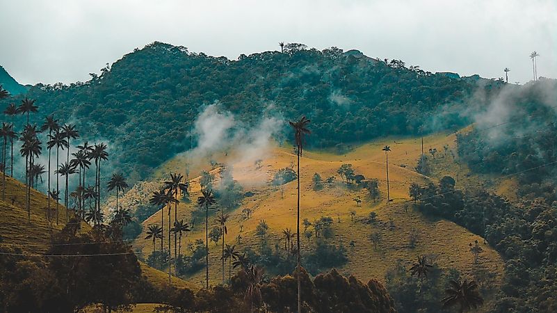 Photo by Fernanda Fierro on Unsplash