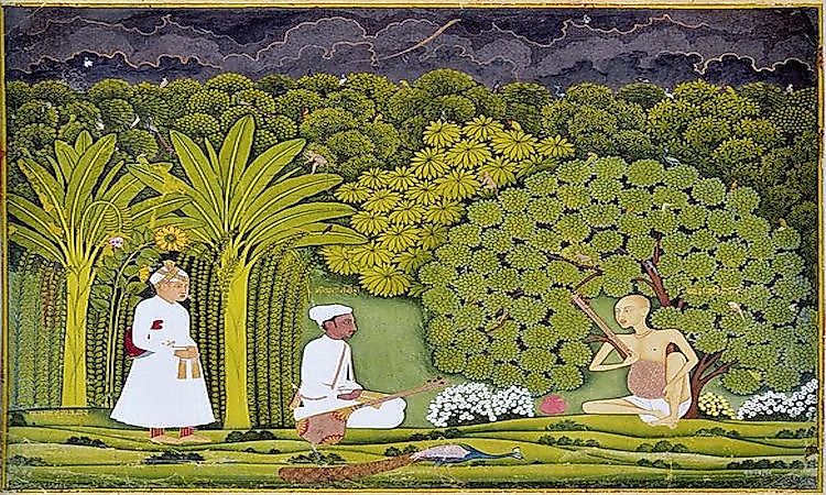#8 Tansen -