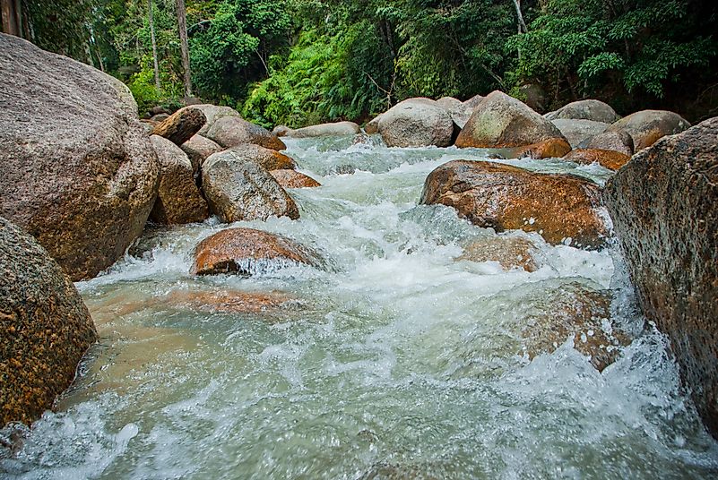 #6 Tasek Bera