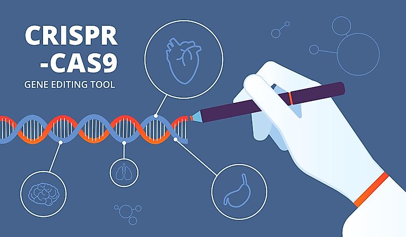 Cas-9 is a crucial part of the CRISPR method. Cas-9 is a crucial part of the CRISPR method.