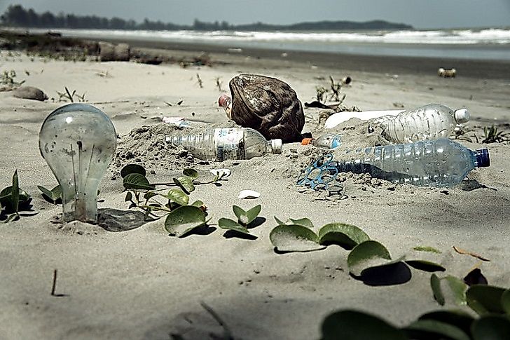 #2 Environmental Effects
