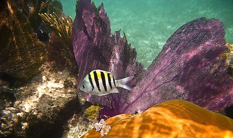 #5 Dry Tortugas National Park
