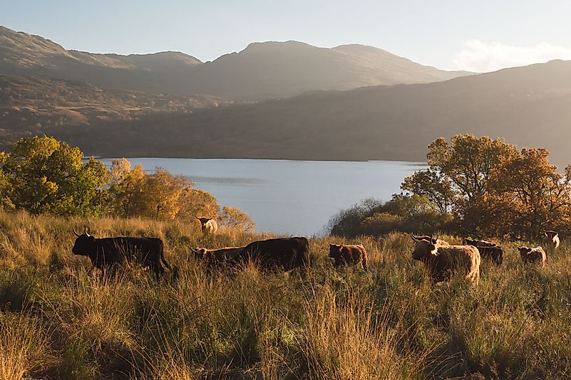 #13 Loch Katrine