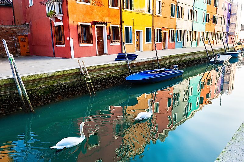 Two white swans floating on the canal n Burano island, Venice, Italy. Image credit: Olga Gavrilova/Shutterstock.com Two white swans floating on the canal n Burano island, Venice, Italy. Image credit: Olga Gavrilova/Shutterstock.com