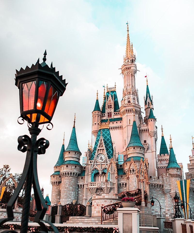 Photo by Cody Board on Unsplash