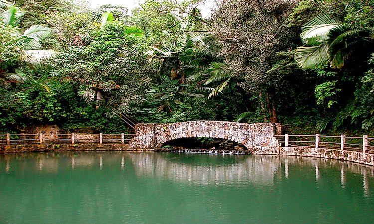 #6 Location Of The El Yunque National Rainforest -
