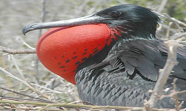 #2 Habitat And Biodiversity -