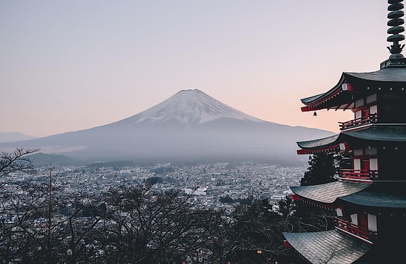 Photo by Manuel Cosentino on Unsplash