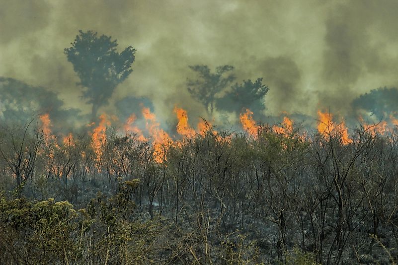 Since the beginning of the year 2019., more than 60,000 fires have broken out in the Amazon rainforest. Since the beginning of the year 2019., more than 60,000 fires have broken out in the Amazon rainforest.