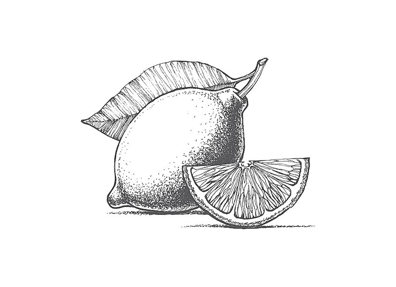 #5 Parti Citron