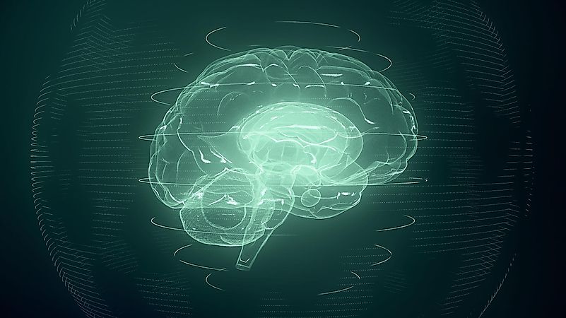 Transhumanist movement put technology as a driving force of change. Transhumanist movement put technology as a driving force of change.