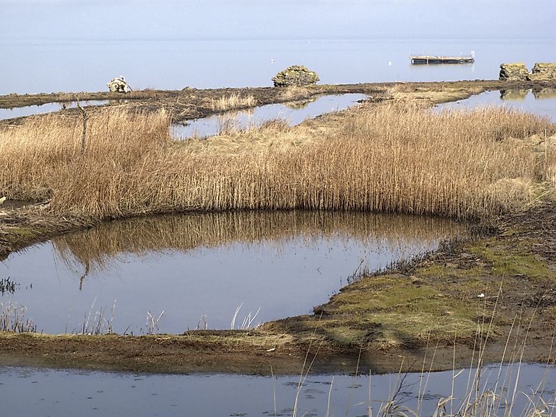 #1 Montrose Basin