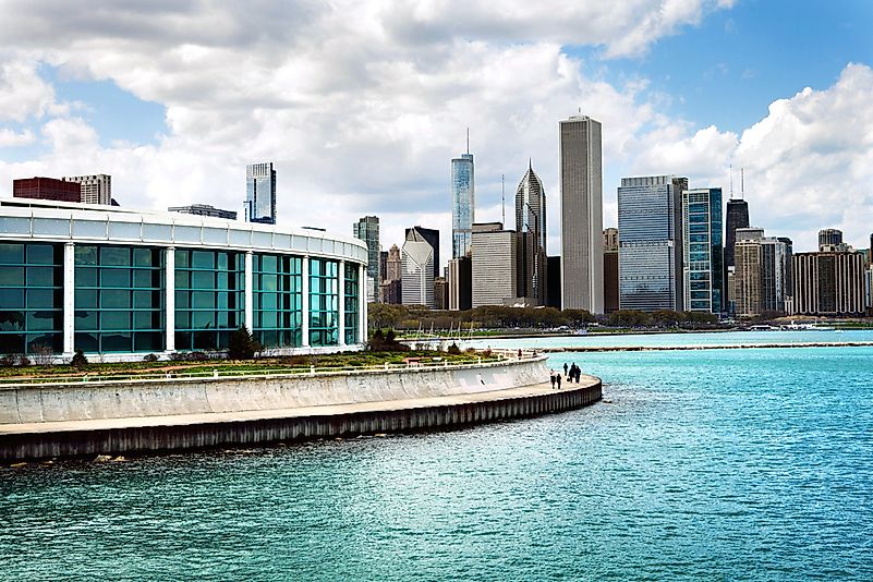 #5 Shedd Aquarium