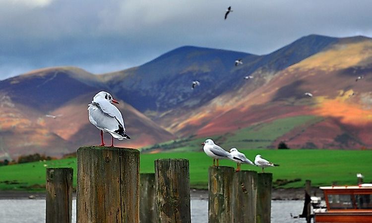 #3 Derwent Water -