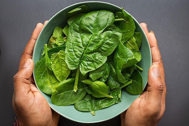 Spinach helps boost the production of white blood cells. Photo by Louis Hansel @shotsoflouis on Unsplash